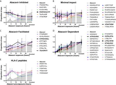 Kinetics of Abacavir-Induced Remodelling of the Major Histocompatibility Complex Class I Peptide Repertoire